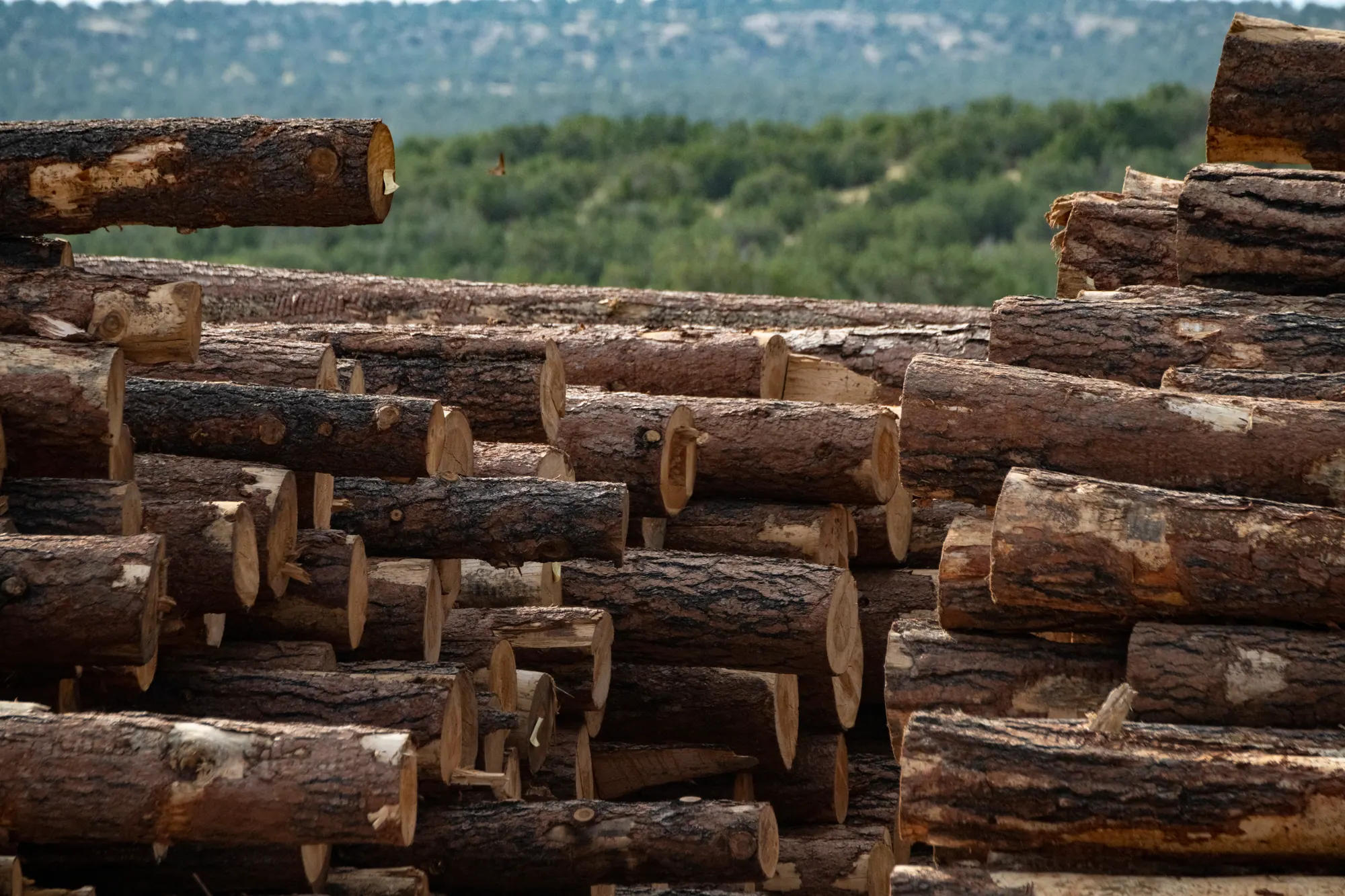 Stacked small-diameter timber logs